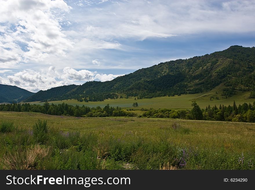 Meadow and mountain, partly cloud. Meadow and mountain, partly cloud