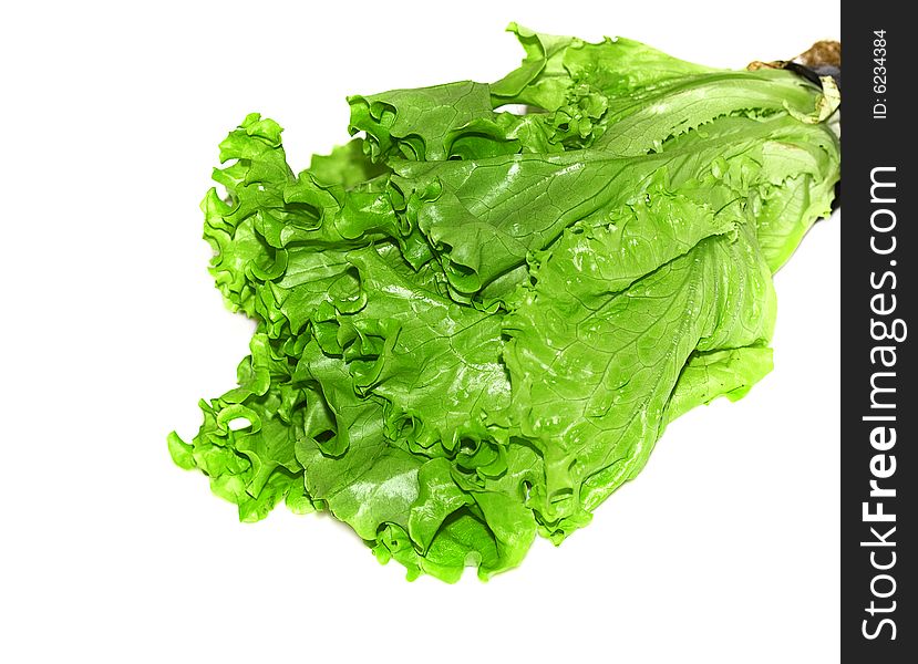 Fresh green lettuce isolated on white background. Fresh green lettuce isolated on white background