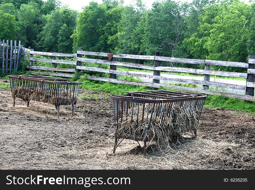Open feeding containers for horses are in a fenced yard. Open feeding containers for horses are in a fenced yard