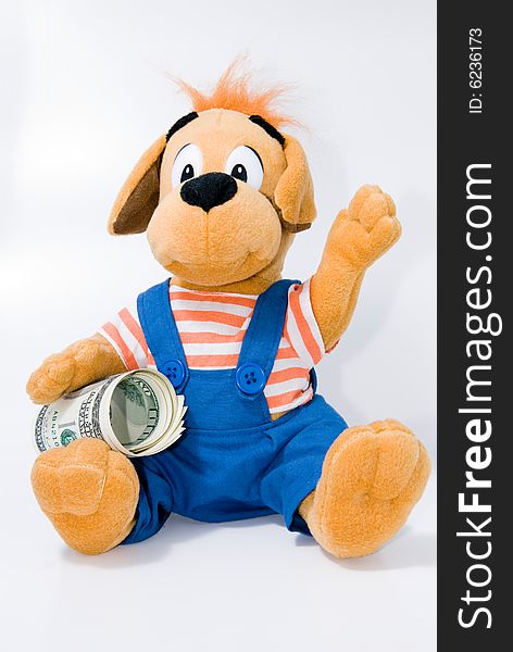 A dog toy with us dollars. A dog toy with us dollars