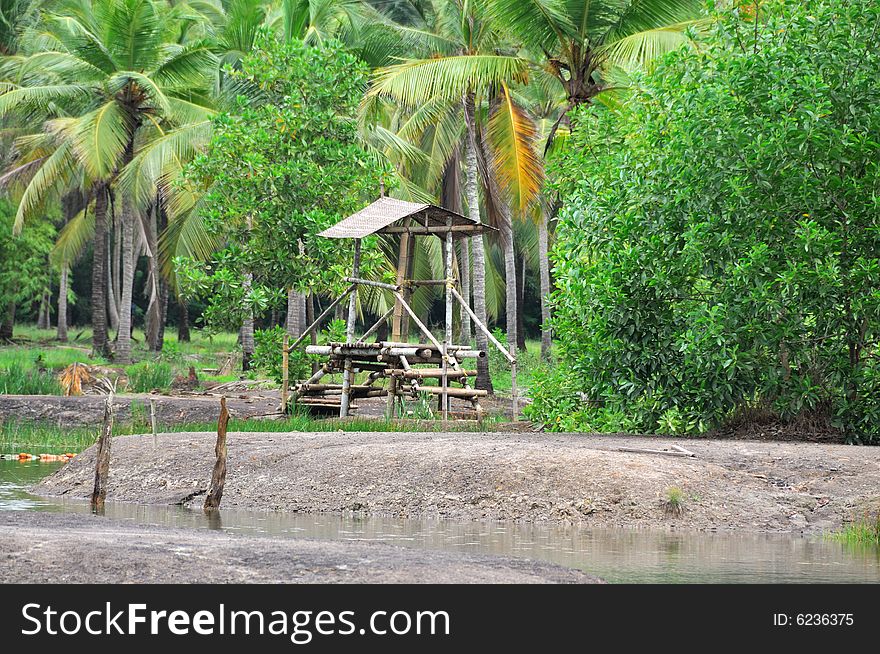 A Natural bridge made by bamboo in a park in Kerala, India. A Natural bridge made by bamboo in a park in Kerala, India