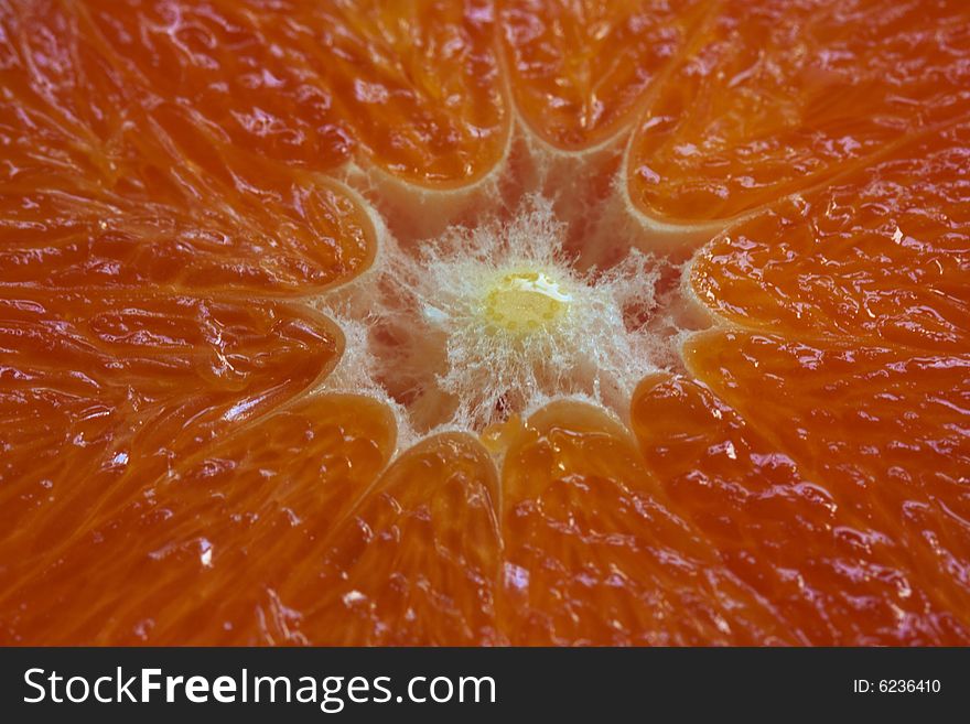 Beautiful colorful slice of orange