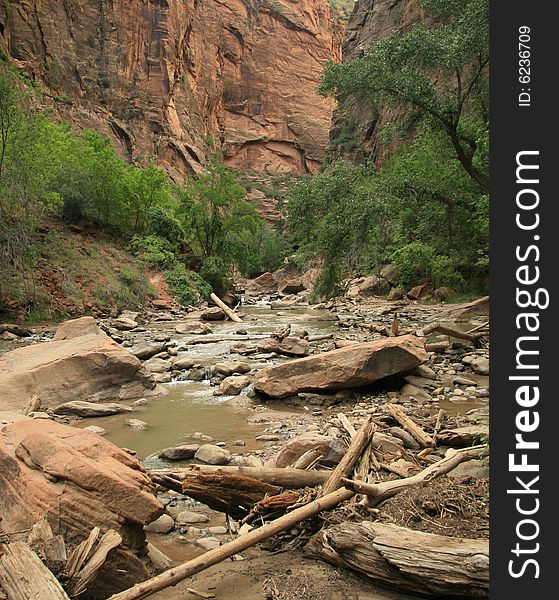 Zion National Park