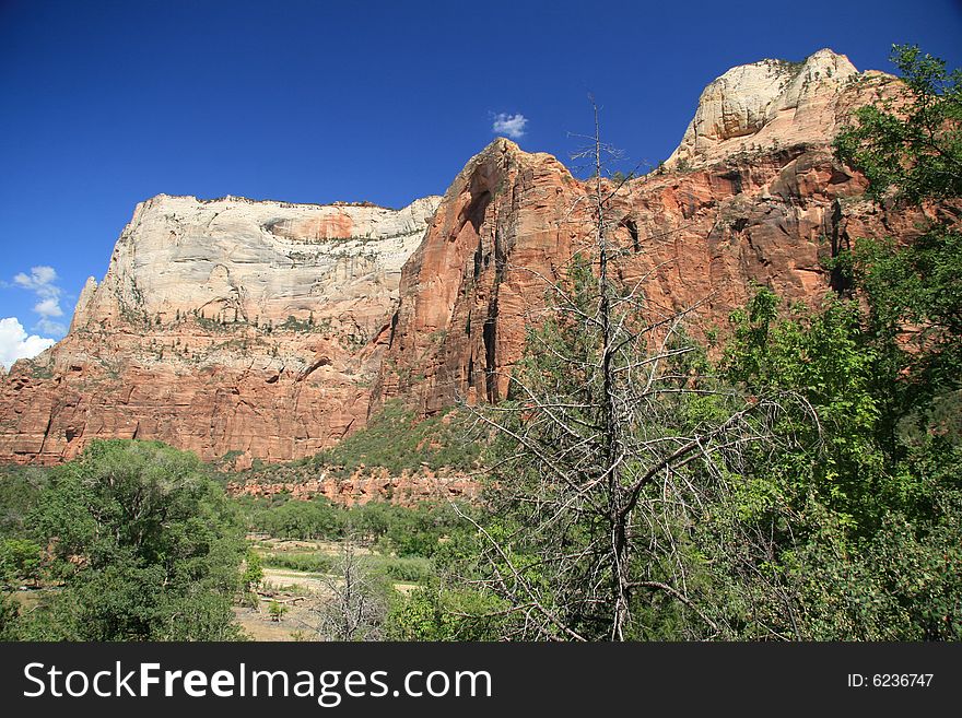 Zion National Park in Utah