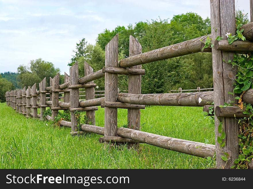 Fence in the green field. Fence in the green field