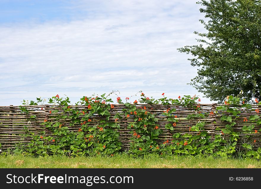 Rural fence with flowers landscape. Rural fence with flowers landscape