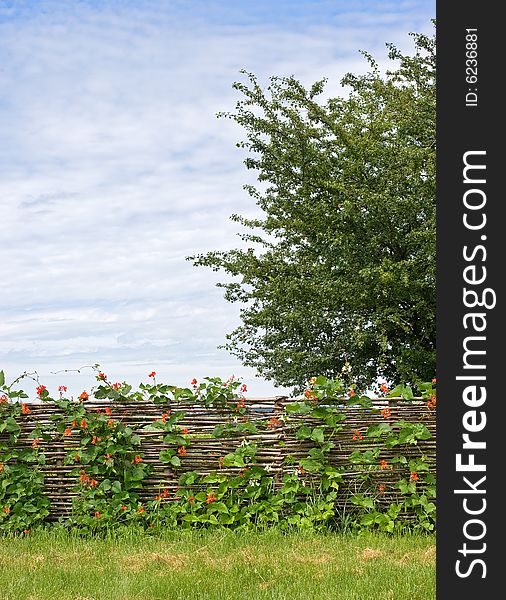 Rural fence with red flowers