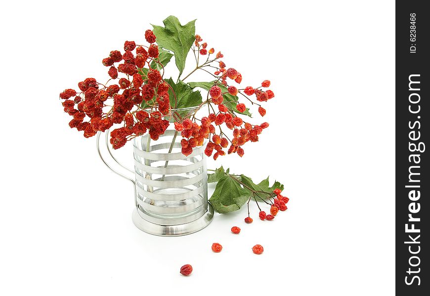 Bouquet of a ashberry on white background.