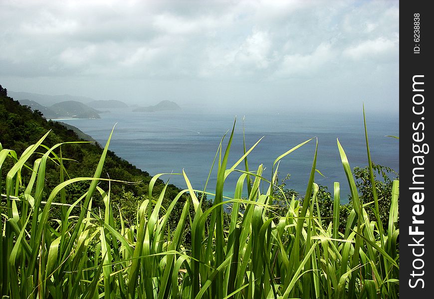 The close view of the grass with Tortola island landscape in a background (British Virgin Islands).