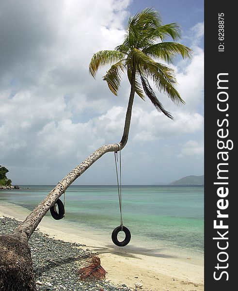 The palm with tube swing on Tortola island beach (British Virgin Islands). The palm with tube swing on Tortola island beach (British Virgin Islands).