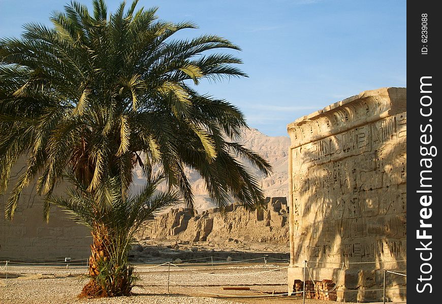 A lone palm in desert.rocks,ruins.luxor.egypt.warm winter of upper egypt. A lone palm in desert.rocks,ruins.luxor.egypt.warm winter of upper egypt