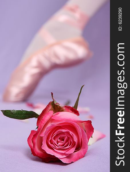 Satin Ballet shoe with a pink rose. FOCUS on Rose