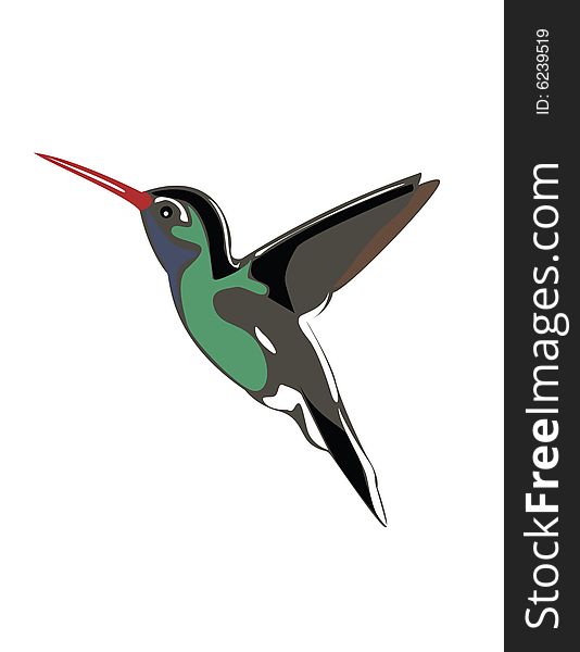 An illustration of a hummingbird