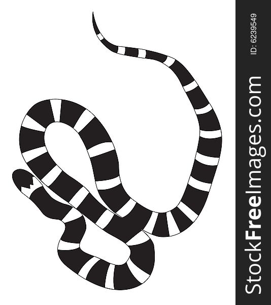 An illustration of a kingsnake