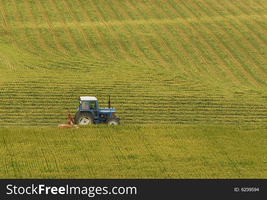 Green new Portugal combine harverts view from the back at corn earning time in summer. Green new Portugal combine harverts view from the back at corn earning time in summer