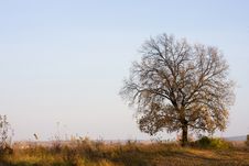 Autumn Scene Royalty Free Stock Photos Autumn Scene Royalty Free Stock Photos