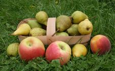 Pears And Apples Royalty Free Stock Photos Pears And Apples Royalty Free Stock Photos