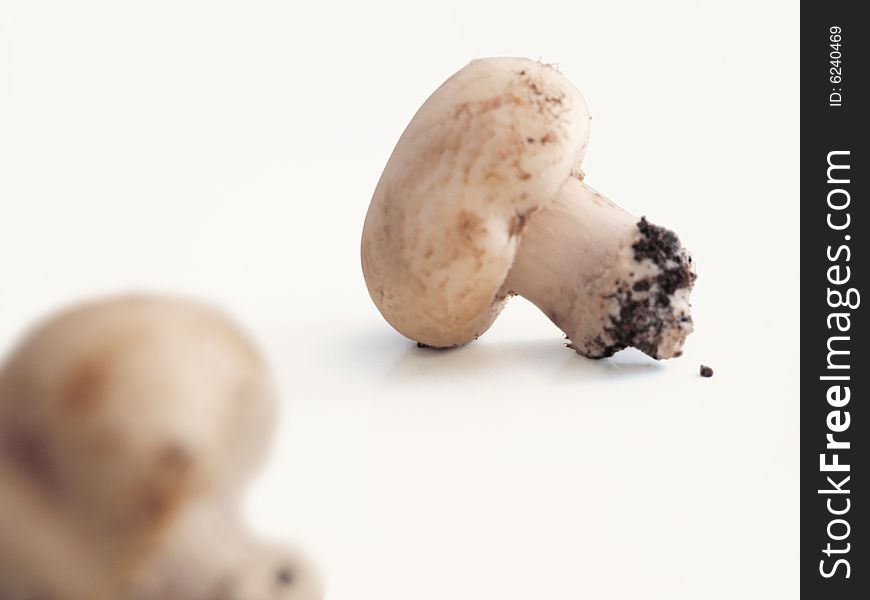Image of two mushrooms collected