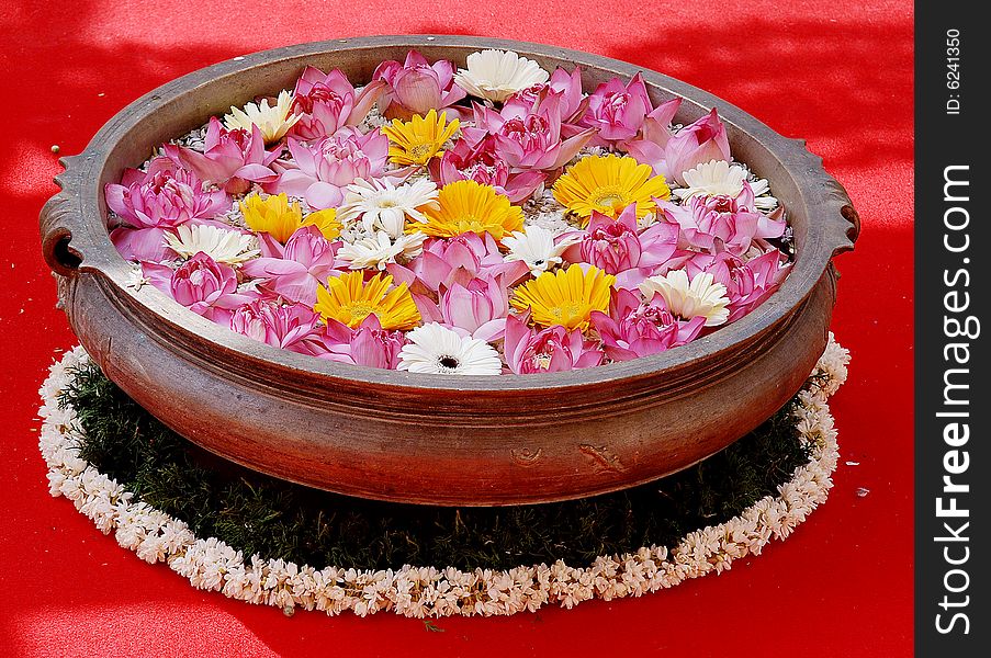Flowers in a bowl containing water. Flowers in a bowl containing water