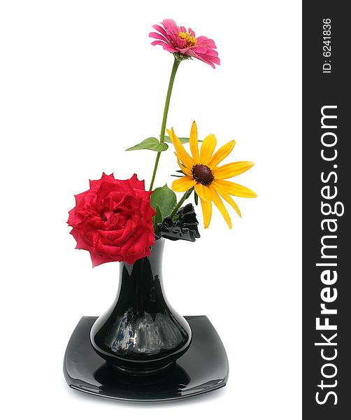 Flowers in a black vase on a white background. Flowers in a black vase on a white background