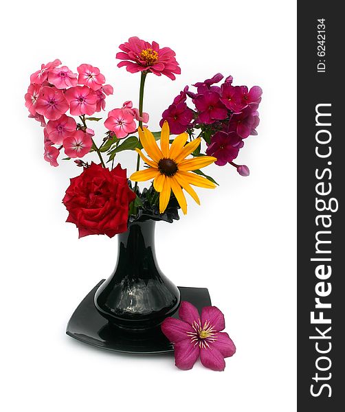 Beautiful flowers in a black vase on a white background. Beautiful flowers in a black vase on a white background