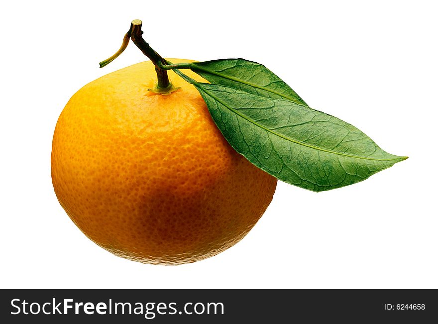 Juicy ripe orange on a white background