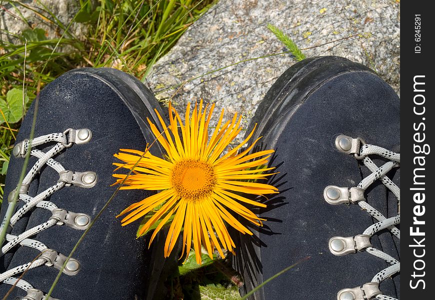 Boots and flower