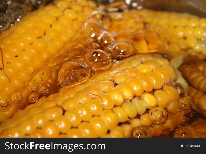 The Corn which cooks in boiling water