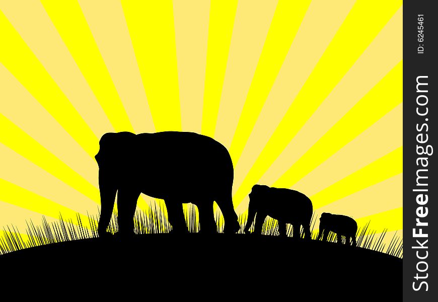 Elephants walking on the field illustration. Elephants walking on the field illustration