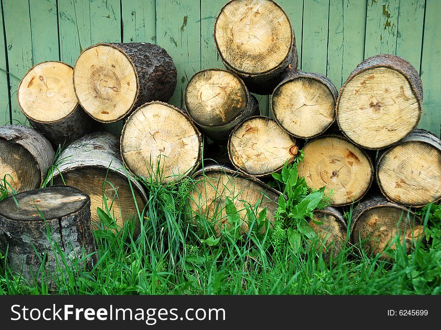 The birch timber cut on the stock. The birch timber cut on the stock