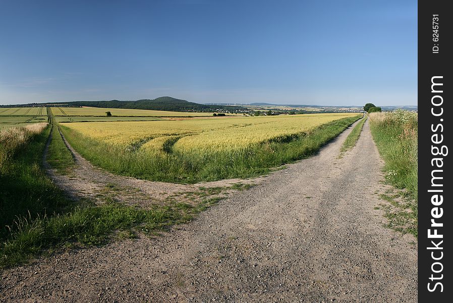 Idyllic barley field in Germany, seen in the north of Hessen near Ahnatal (Kassel). Idyllic barley field in Germany, seen in the north of Hessen near Ahnatal (Kassel)
