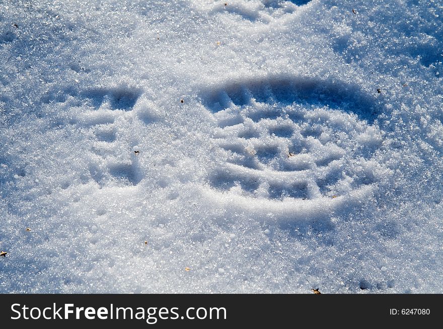 Footprint In Snow