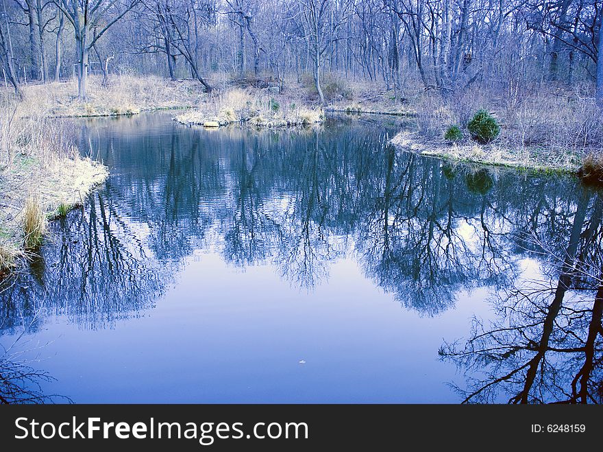 Trees Reflected In Water Of Pond