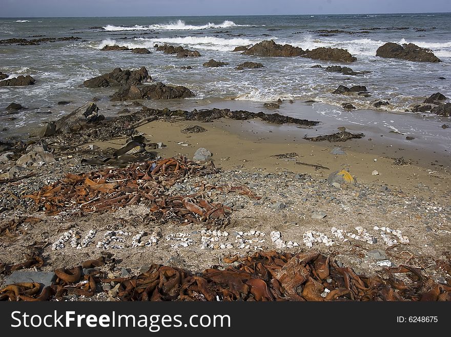 It shows a rocky Beach on the North Island of New Zealand. NEUSEELAND written with shells means New Zealand. It shows a rocky Beach on the North Island of New Zealand. NEUSEELAND written with shells means New Zealand
