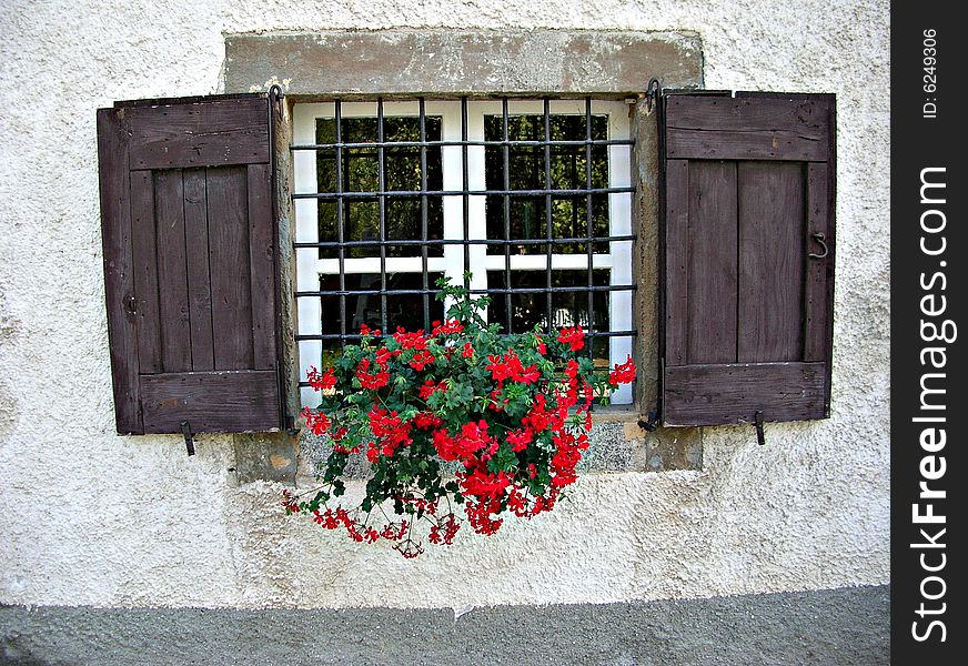 A window with red flowers