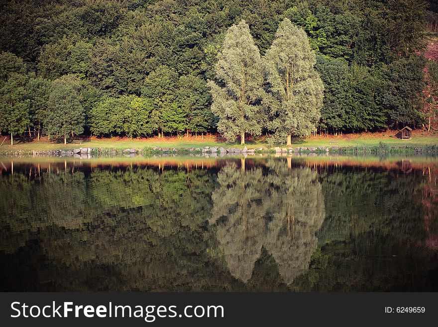 Tree and the reflection on the lake.