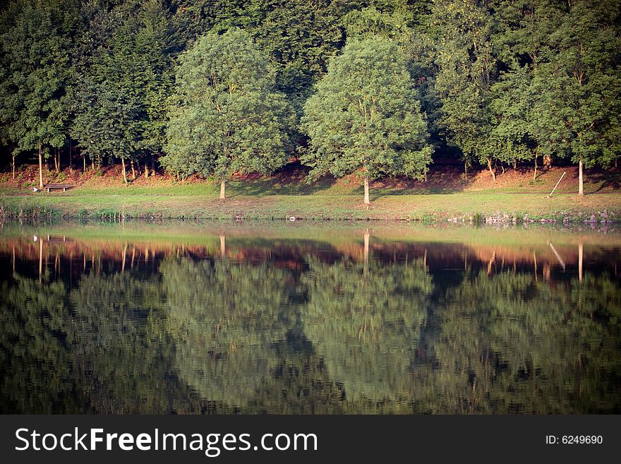 Tree and the reflection on the lake.