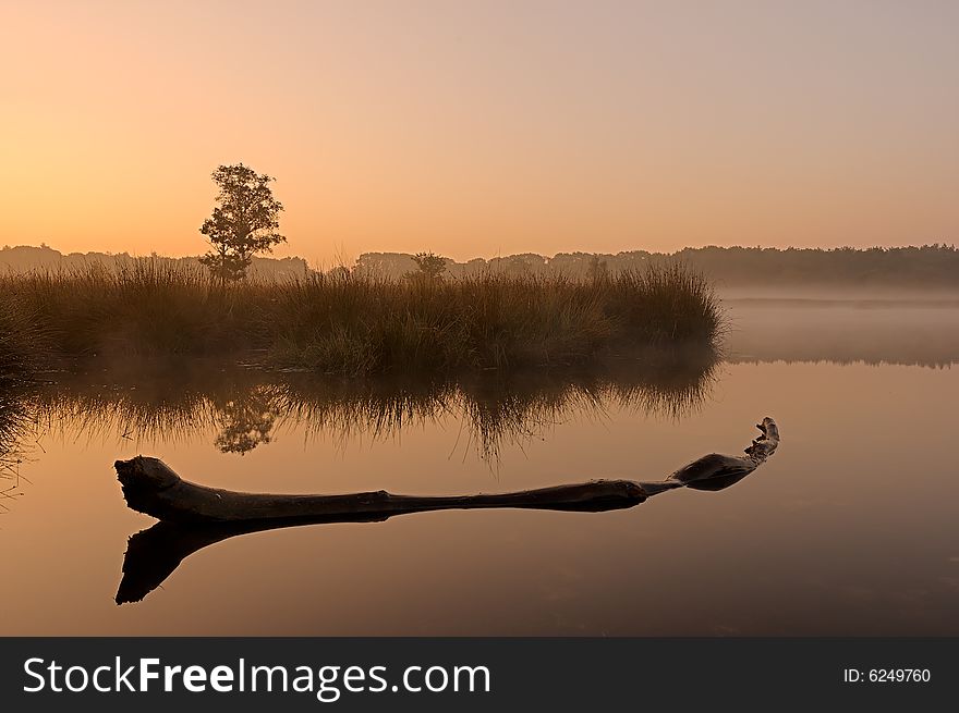 Tree trunk floating in quiet water with reflections and a single tree silhouet in the background during sunrise. Tree trunk floating in quiet water with reflections and a single tree silhouet in the background during sunrise