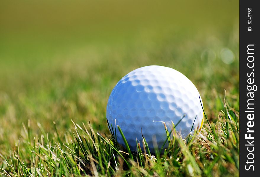 Closely focused image of golf ball in grass. Closely focused image of golf ball in grass