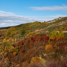 Autumn Colors On Hills Royalty Free Stock Photography