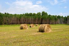 Field With Haystacks Royalty Free Stock Images Field With Haystacks Royalty Free Stock Images