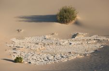 Shrubs In Sand Dunes Stock Photos Shrubs In Sand Dunes Stock Photos