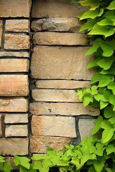 Flagstone Wall With Climbing Ivy Stock Image Flagstone Wall With Climbing Ivy Stock Image