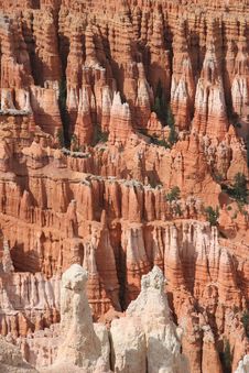 Bryce Canyon National Park Royalty Free Stock Images