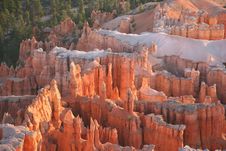 Bryce Canyon National Park Stock Images Bryce Canyon National Park Stock Images