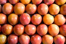 Crate Of Plum Royalty Free Stock Photo Crate Of Plum Royalty Free Stock Photo