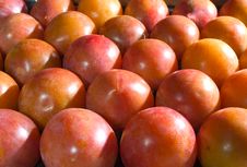 Crate Of Plum Royalty Free Stock Photo Crate Of Plum Royalty Free Stock Photo
