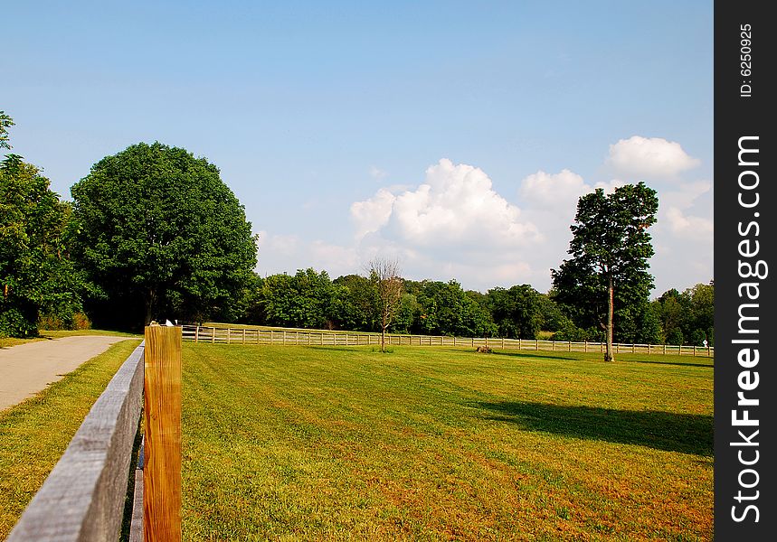 This is a shot of a wood fence used to keep horses off the road. The road can be seen in the shot. Green is a strong color in the image, the sky can also be seen. This is a shot of a wood fence used to keep horses off the road. The road can be seen in the shot. Green is a strong color in the image, the sky can also be seen.