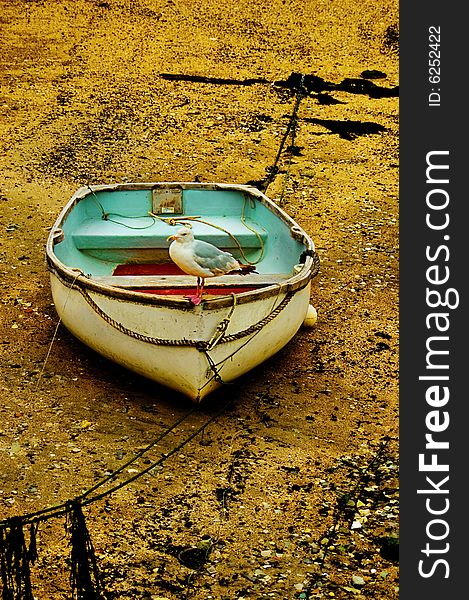 Contrasty image of a very old boat with a seagull sitting at the front. Contrasty image of a very old boat with a seagull sitting at the front.