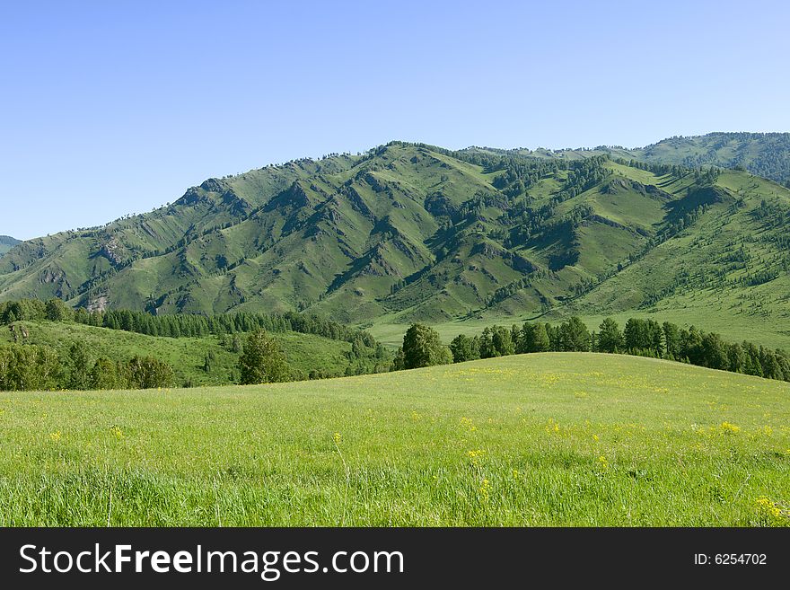 Mountains with green forest on blue sky. Mountains with green forest on blue sky